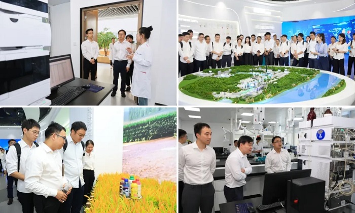 17231699543180610ohm.jpg 04.jpg