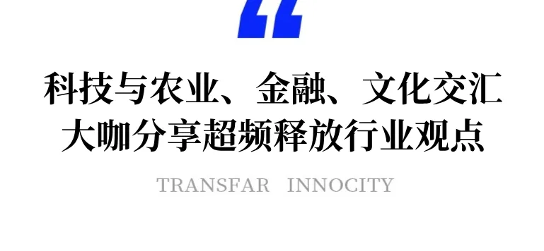 1732522387178456h1TO.jpeg 16.jpeg